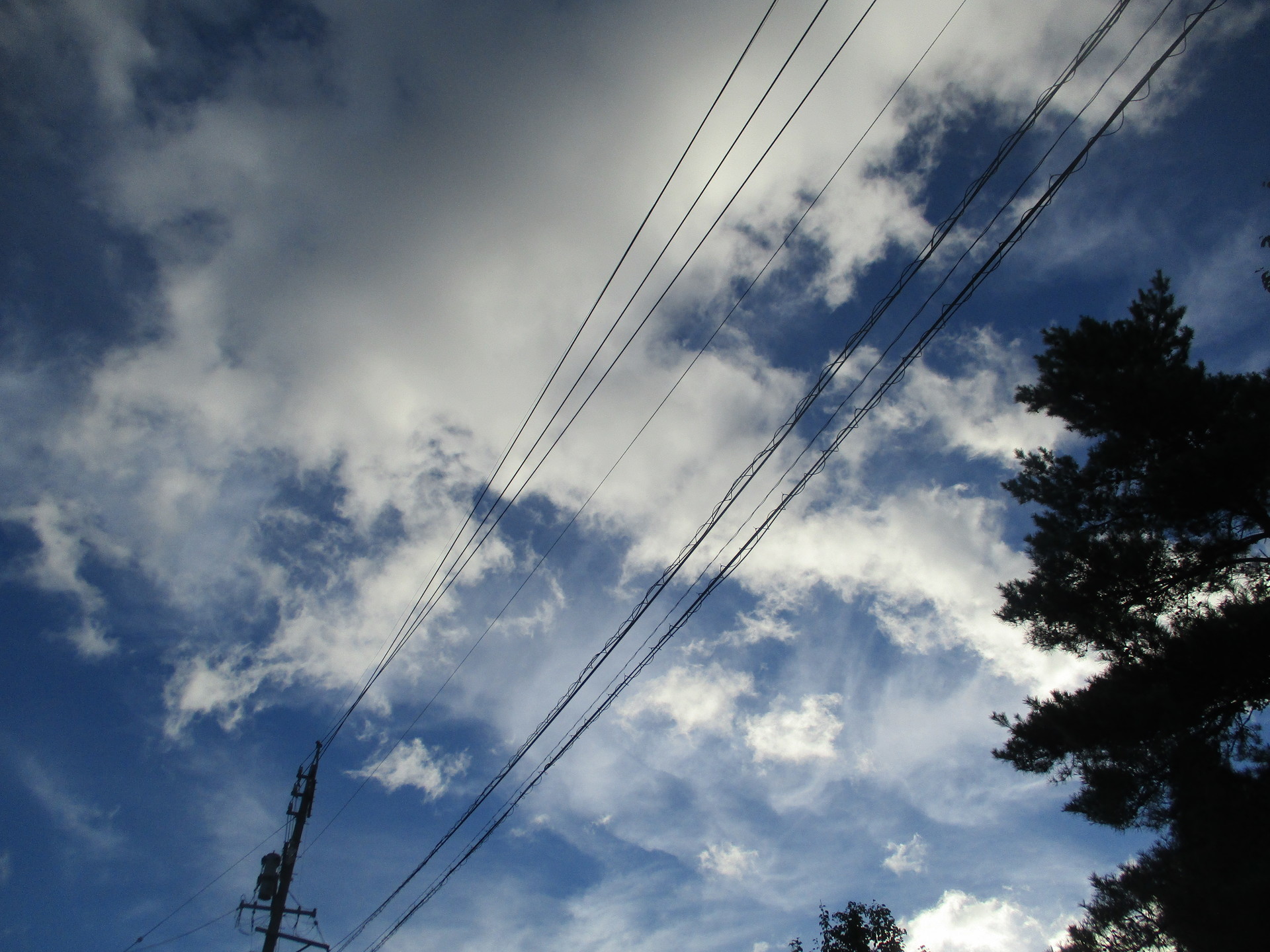 CDアルバム87 「TRUE」 中島美嘉 ナンキョクあるのでしょうか？